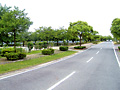 ݂ǂ肪un̗lq